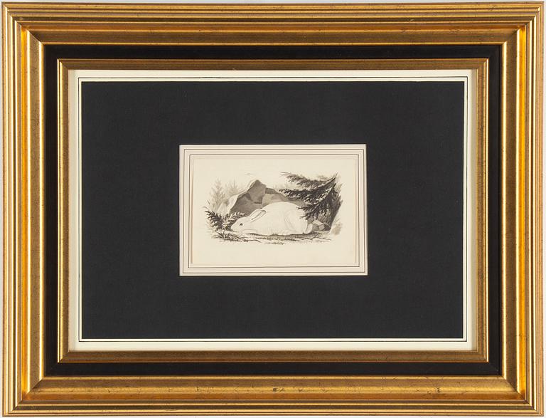 WILHELM VON WRIGHT, ink on paper, signed and dated 1853.