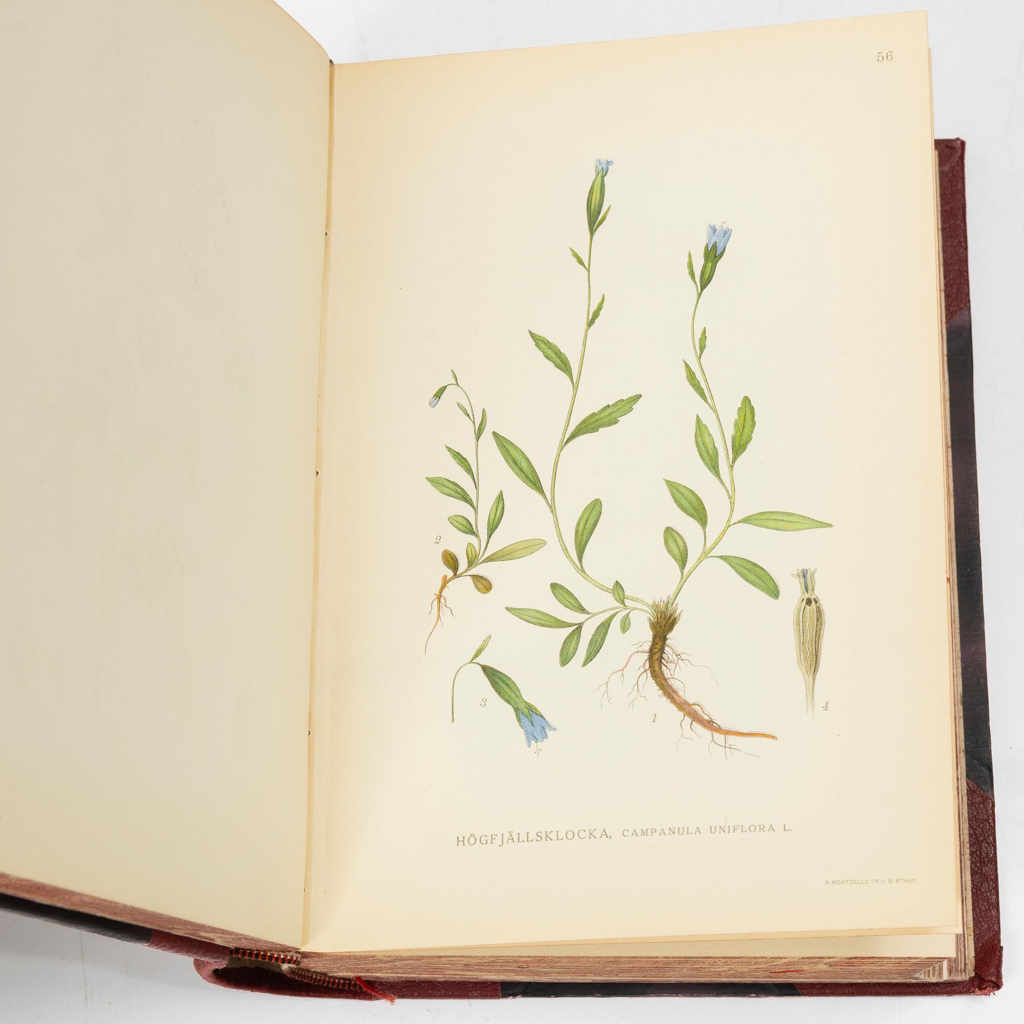C.A.M Lindman, books, 3 volumes, "Bilder ur Nordens Flora",  Wahlström & Widstrand, 1922-1926.
