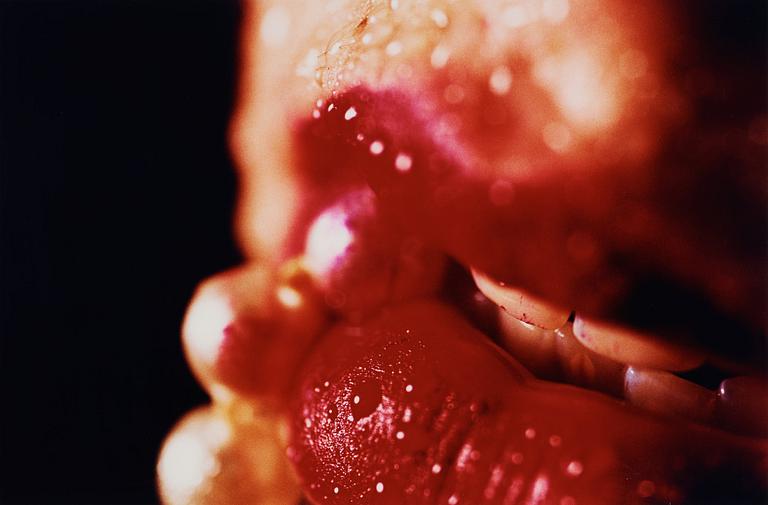 Marilyn Minter, "Jawbreaker", 2004.