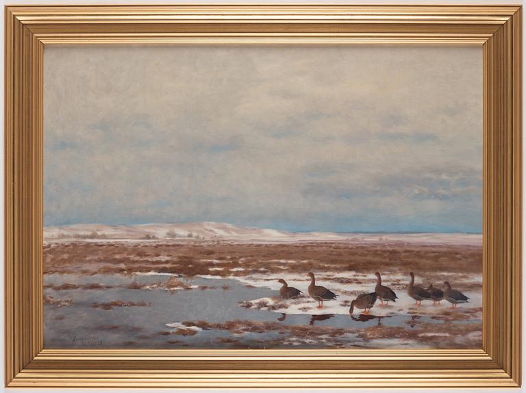 Bruno Liljefors, Resting Wild Geese.