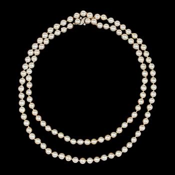 339. COLLIER, lång rad odlade japanska pärlor, 6,5 mm, med lås med pärlor och briljantslipade diamanter.