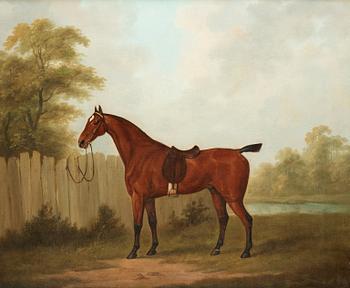 522. John Nost Sartorius, Hästporträtt.