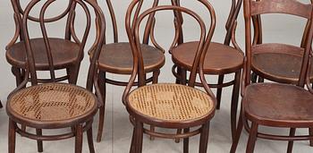 STOLAR, 8 st, bl a 4 Thonet, 2 Kohn. 1900-tal.