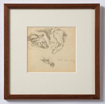 Lotte Laserstein, Study of a calf.