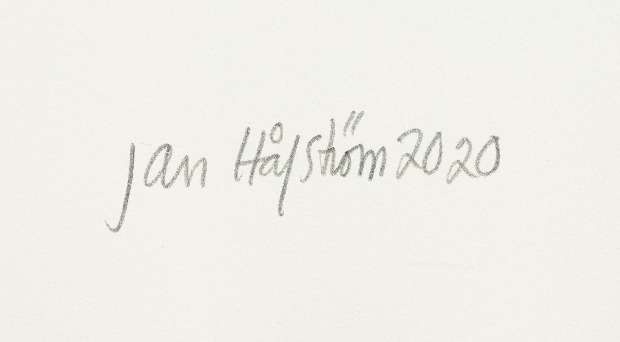 Jan Håfström, "The Investigator".