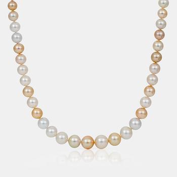 A cultured South Sea pearl necklace with white and yellow pearls. Ø 10.5 - 15.4 mm.