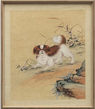 Okänd konstnär, "Hund i landskap", sen Qingdynasti/tidigt 1900-tal.