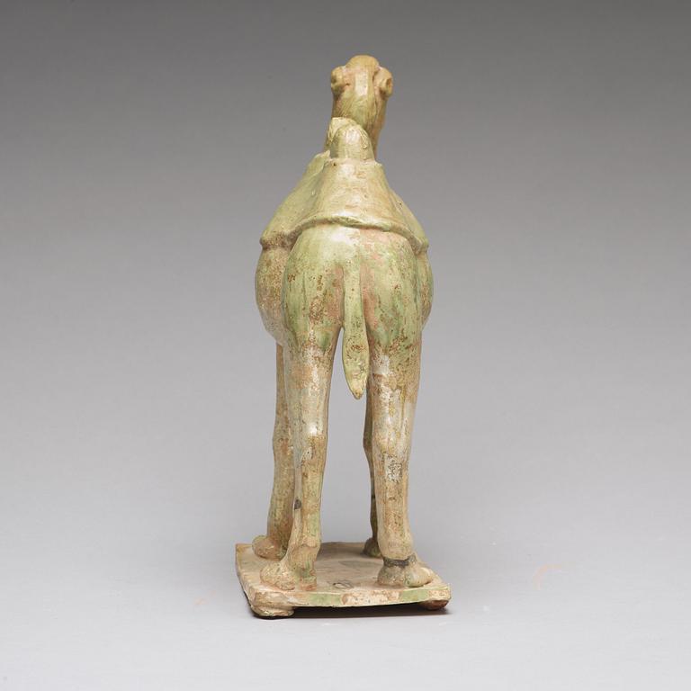 A potted green glazed figure of a camel, Tang dynasty, (618-907).