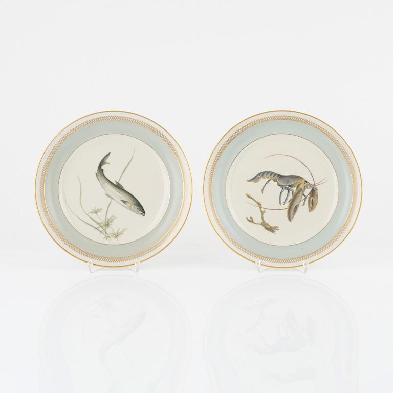 Royal Copenhagen, plates, 11 pcs, porcelain, "Fauna Danica".