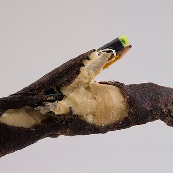 NIRAN BAIBULAT, "OKSA II".