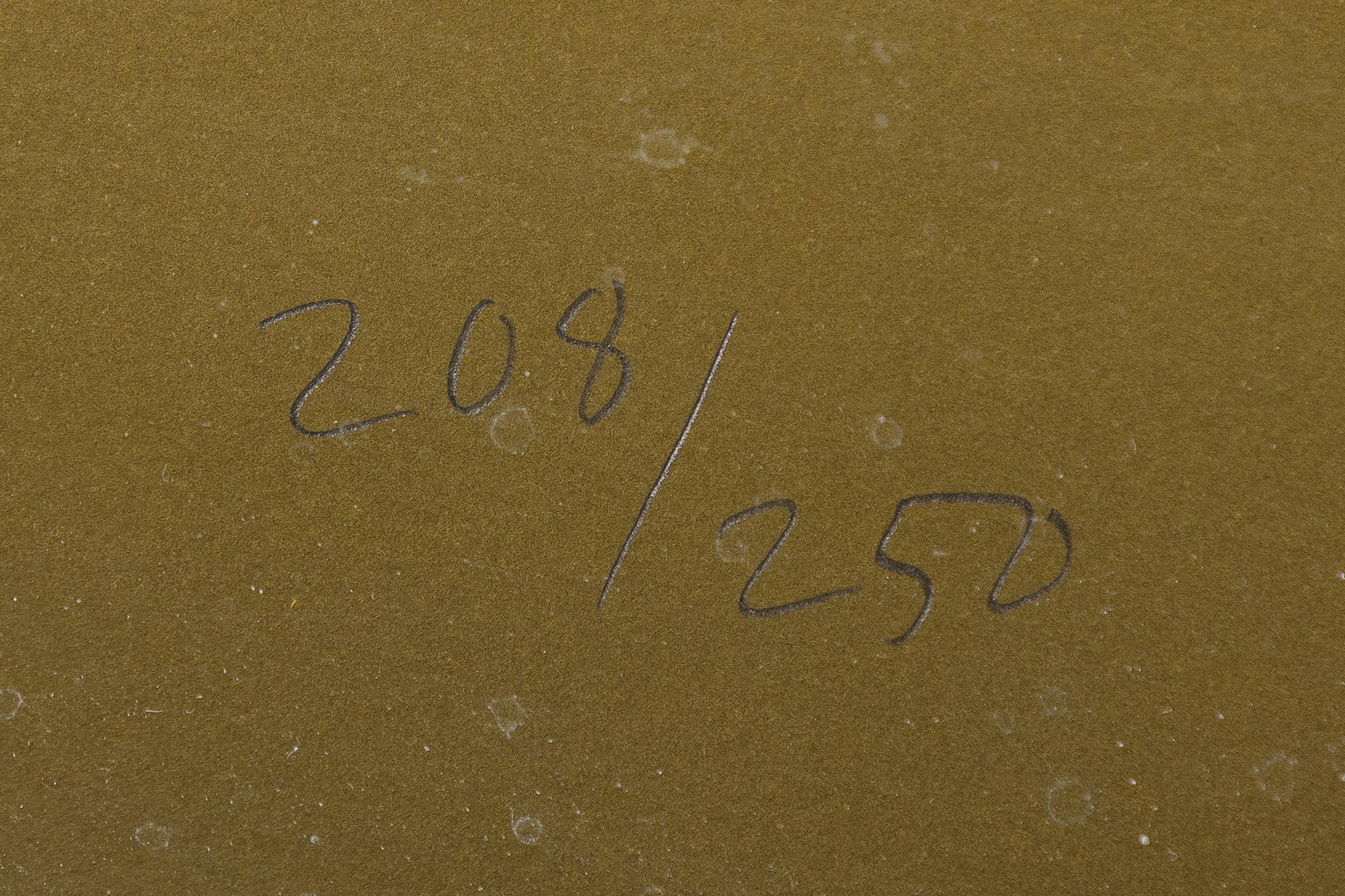 Yrjö Edelmann, Wrapped Absolut Citron,