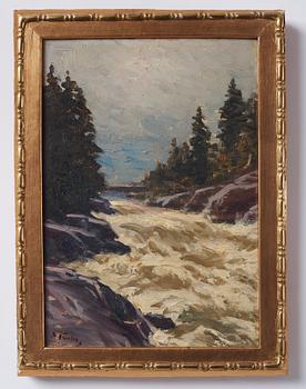 Eugen Taube, Rapids.