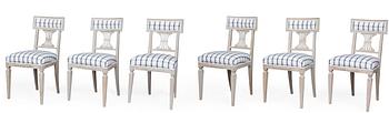 559. SET OF SIX CHAIRS.