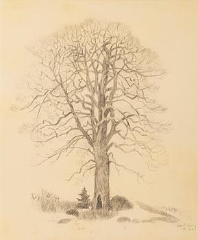 Harald Wiberg, The lonely tree.