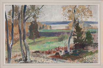 Lennart Segerstråle, A view from the shore.