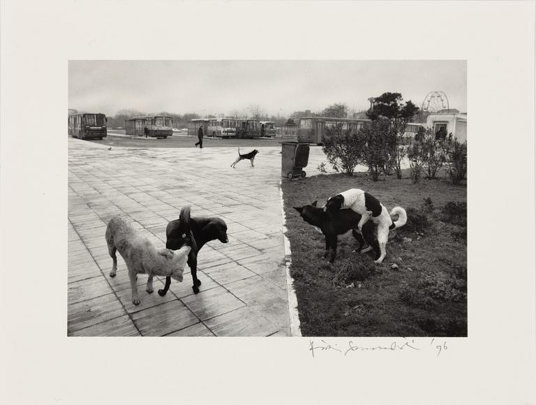 Pentti Sammallahti, "Istanbul, 1996".