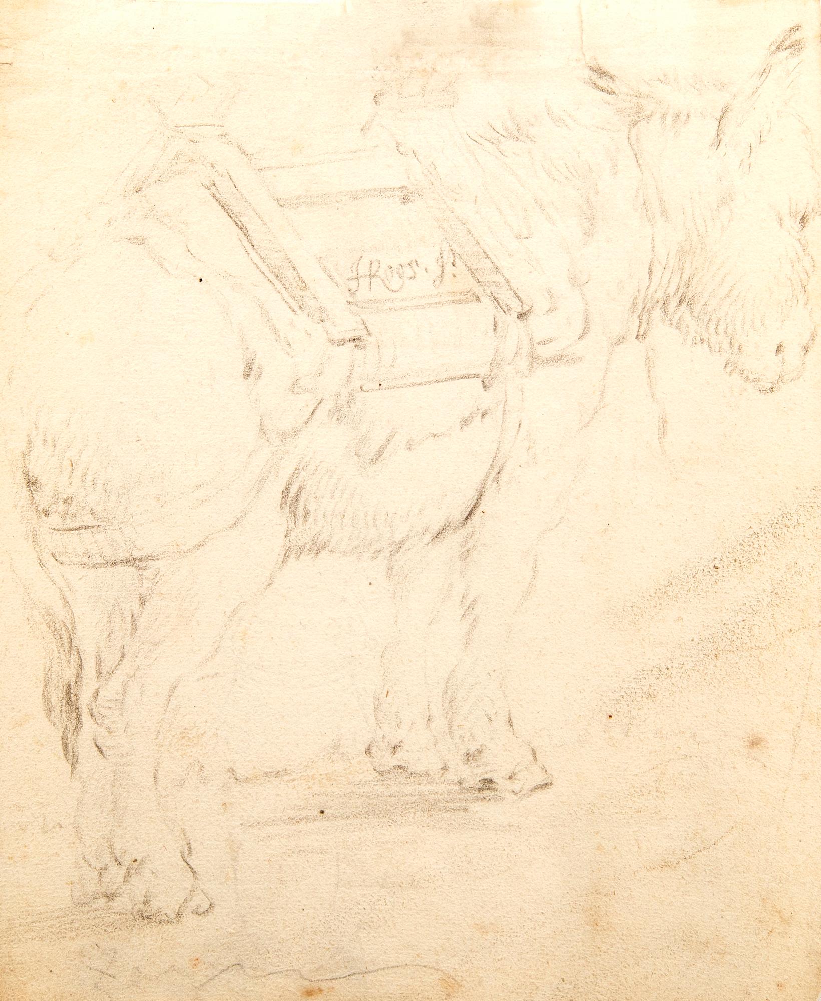 Johan Heinrich Roos, animal studies, three pieces, 17th century.