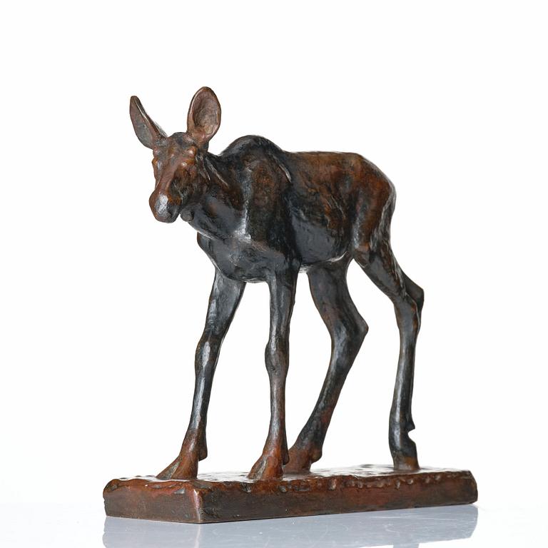 Arvid Knöppel, Moose calf.