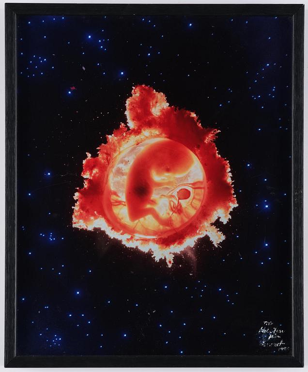 Lennart Nilsson, "Rymdfararen", 1965.