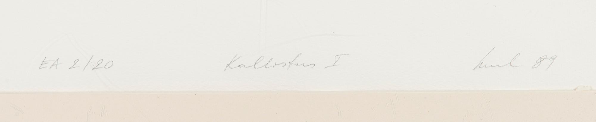 Raul Meel, Kallistus I.