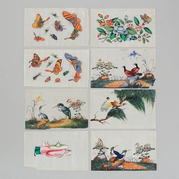 A group of 10 paintings on ricepaper, Qing dynasty, 19th Century.