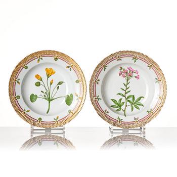 Tallrikar, 12 stycken, djupa. Royal Copenhagen, 'Flora Danica', Danmark, 1900-tal.