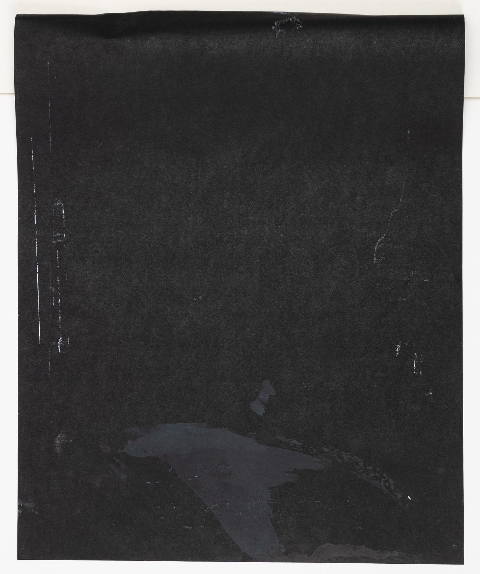 CO Hultén, Untitled.