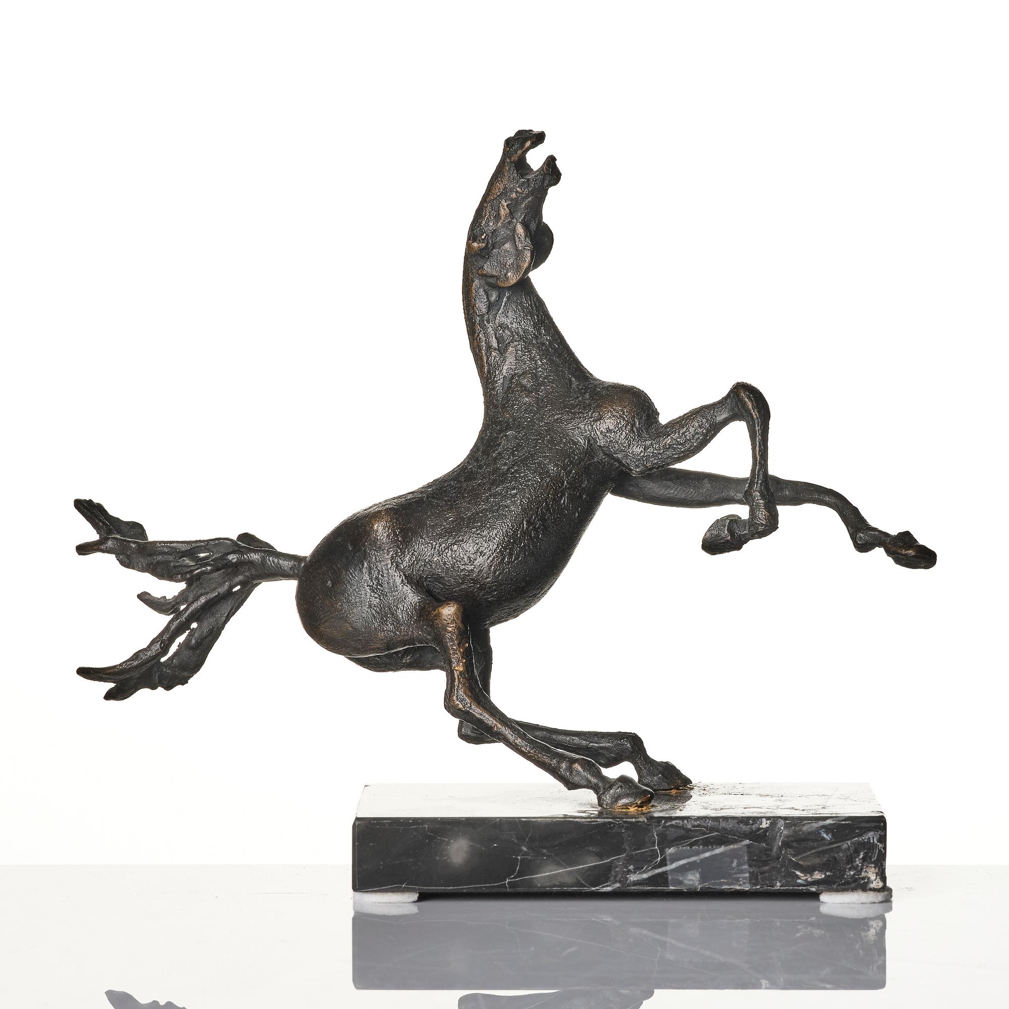 Sergio Capellini, stegrande häst.