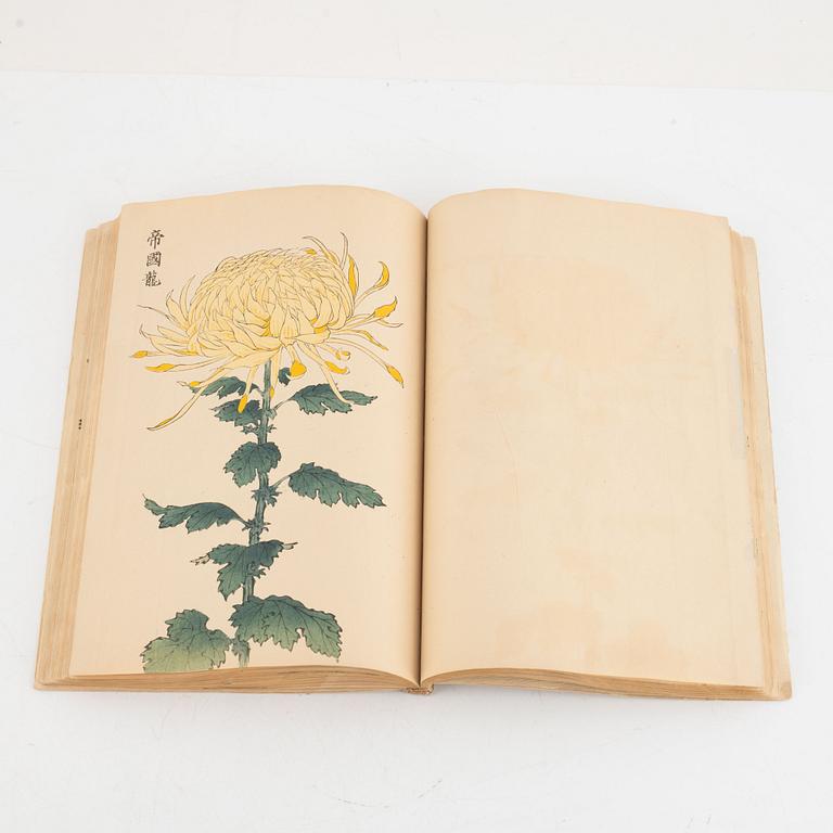 '100 chrysanthemum' 契花百菊, Hasegawa Keika 長谷川契華, volume III, Japan 1893.