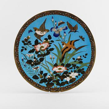 FAT, cloisonne, Japan, 1900-talets första hälft.