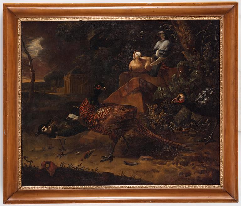 Melchior de Hondecoeter Hans art, Vilda fåglar i parklandskap.