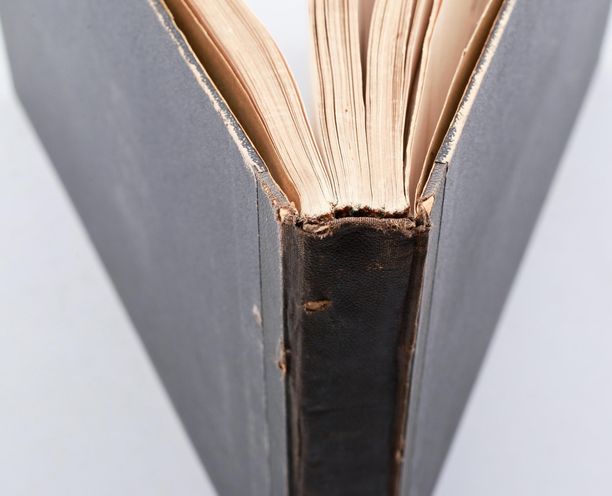 BOK, "Suecia Antiqua et Hodierna", Erik Dahlberg, Stockholm, 1865.