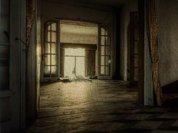 DAAN OUDE-ELFENRINK, photograph signed and numbered.