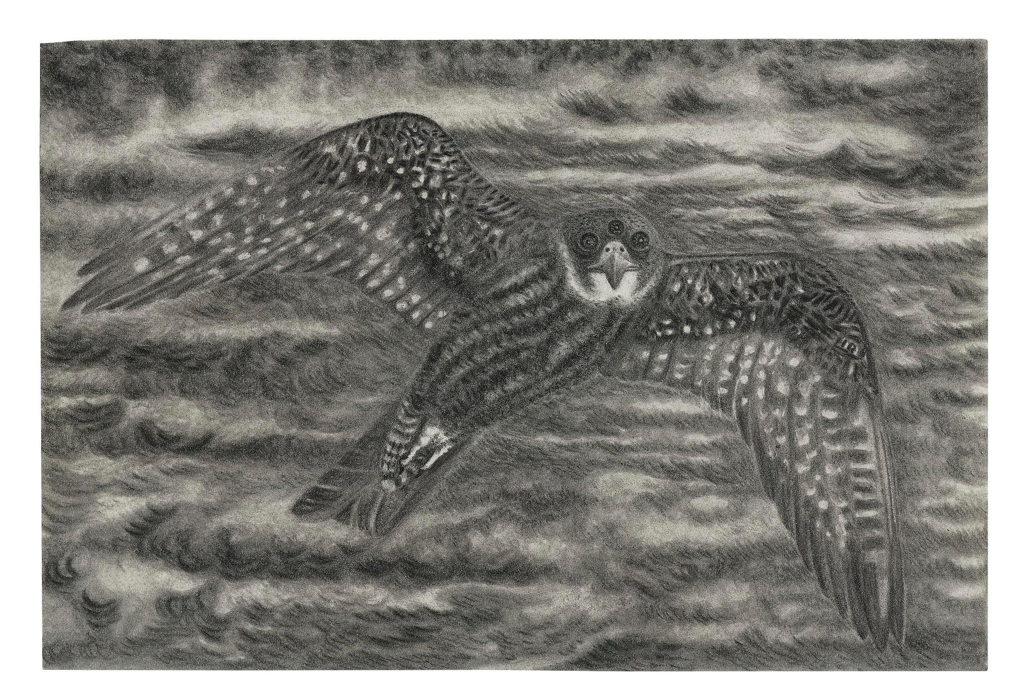 Jeff Olsson, "Funny Bird".