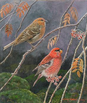 Niilo Vainio, Tallbitar.