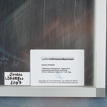 Johan Löfgren, "Hatching contemporary", 2007.