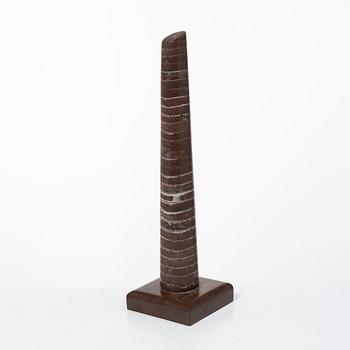 An Orthoceras fossil.