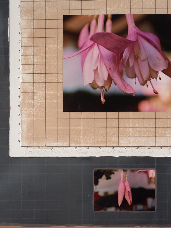 Michelle Stuart, "Correspondences: Time Connecticut Fuchsia".