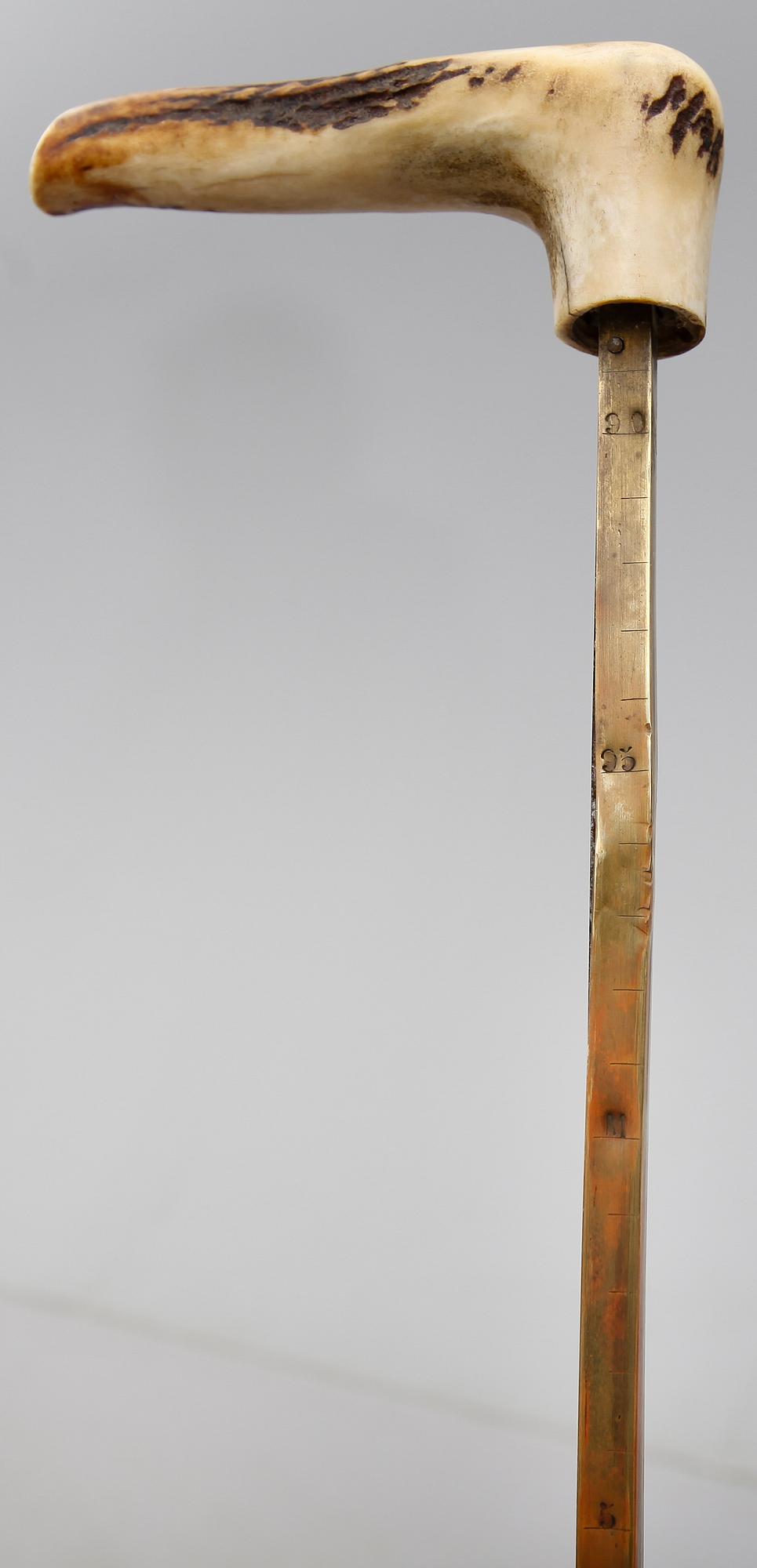 KÄPP, för hästhandlare, sekelskiftet 1900.