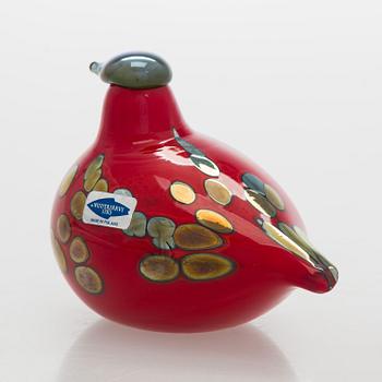 Oiva Toikka, lasilintu, "Tulitintti", signeerattu O. Toikka Nuutajärvi.