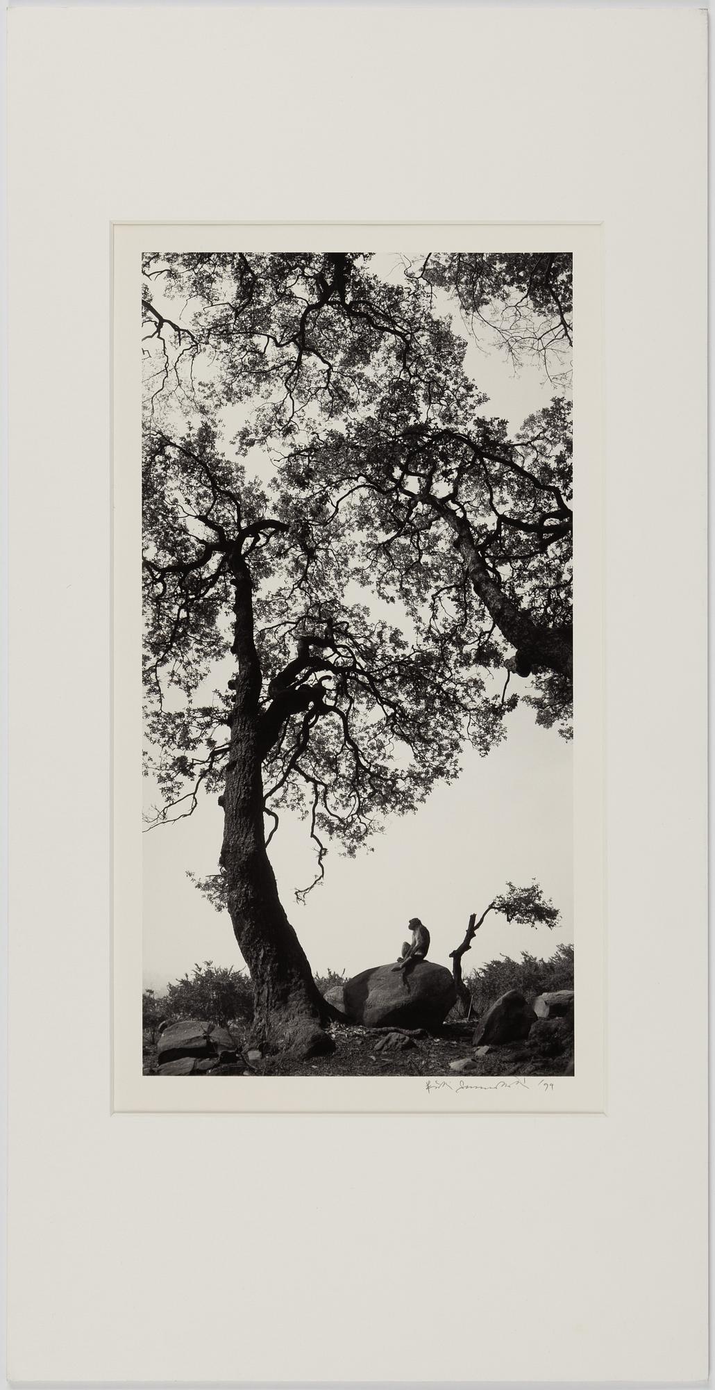 Pentti Sammallahti, "Swayambhunath, Nepal, 1994".