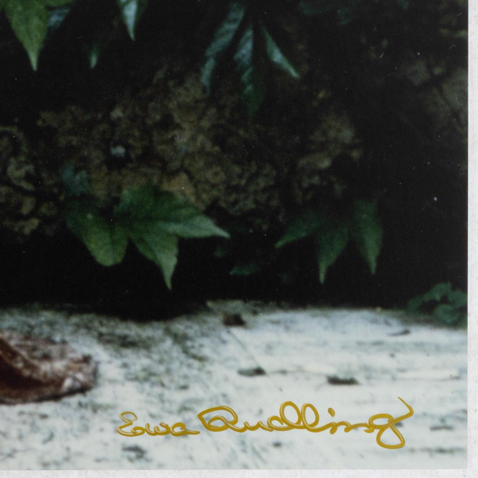 Ewa Rudling, "Nastassja Kinski,Paris".