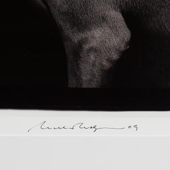 WILLIAM WEGMAN, photography signed William Wegman, edition of 1500.