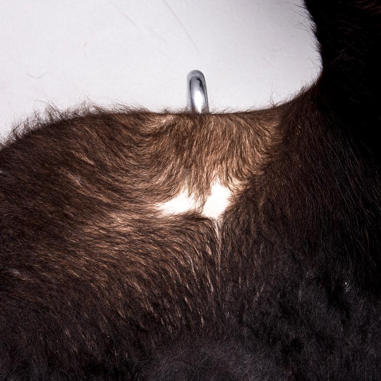 STOLAR, 6 st, "Sjuan" Arne Jacobsen, Fritz Hansen.