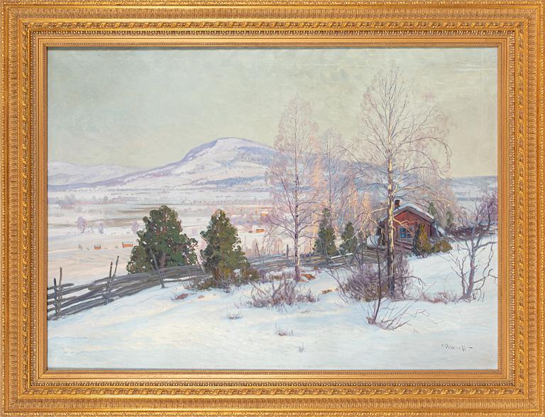 Carl Brandt, At Åreskutan.