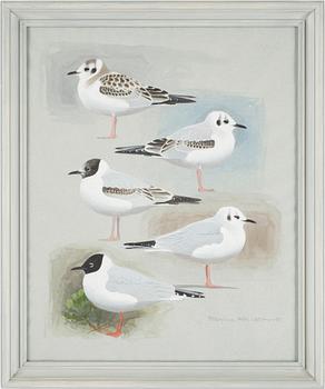 Hans Larsson · HANS LARSSON, akvarell, signerad, daterad -95.