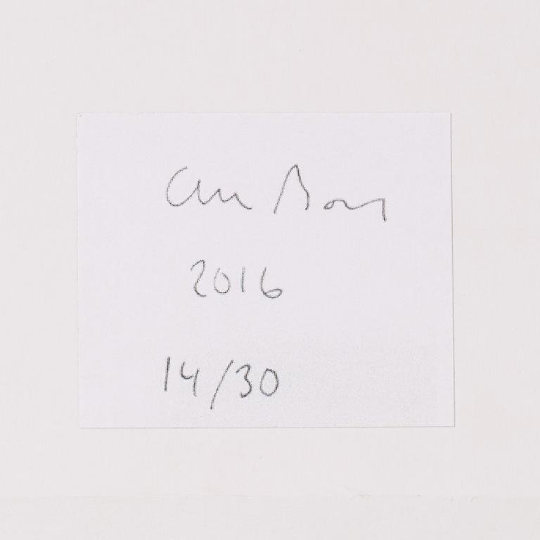 Olle Borg, Untitled , 2016.