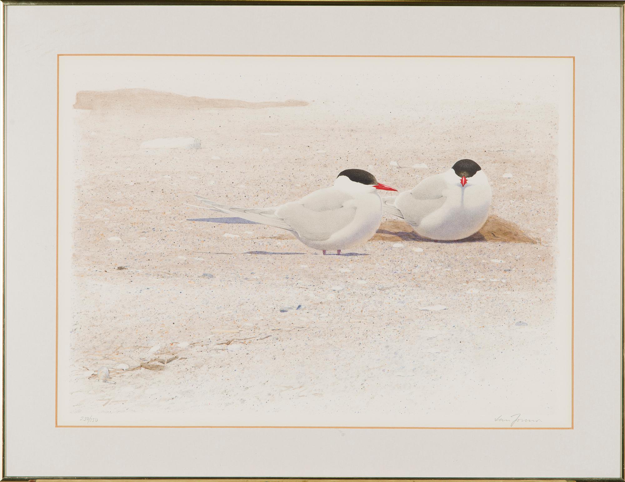 Lars Jonsson, Two birds.