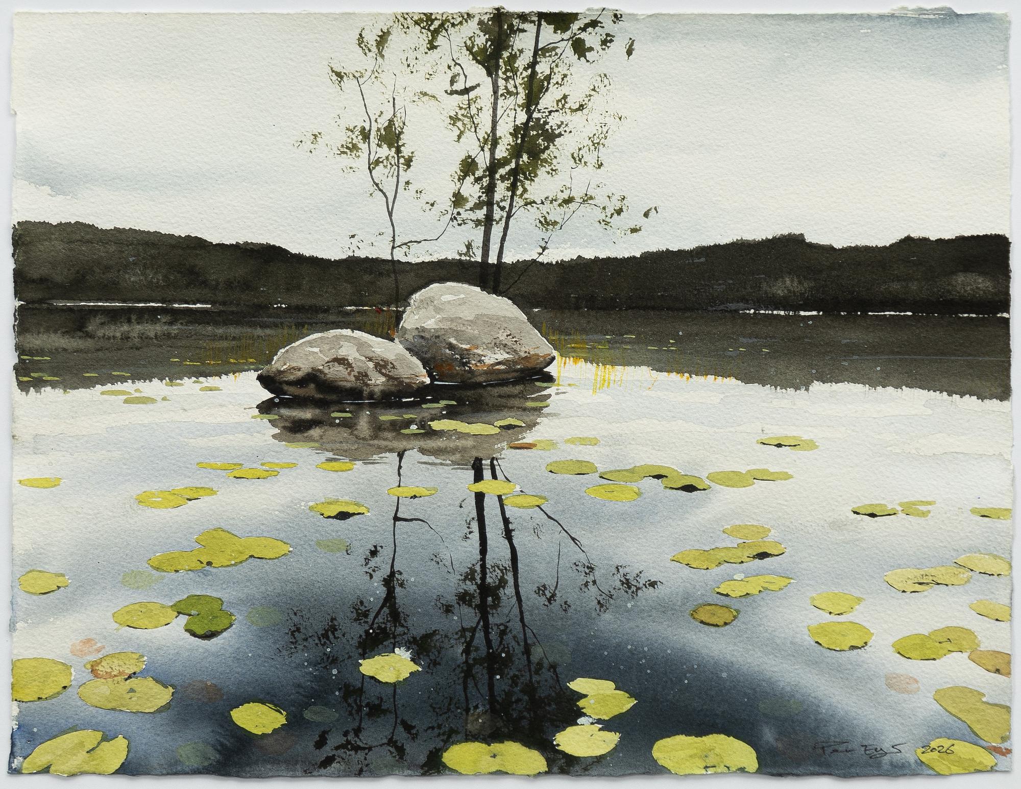 Peter Eugén, Näckrossjö med stenar.