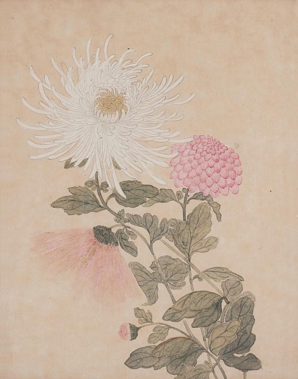 Oidentifierad konstnär, akvarell, två stycken, sen Qingdynasti.